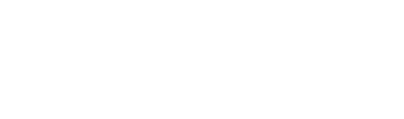 baukor logo white